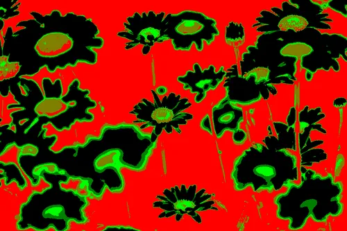 Item #95930744612989253264341458363878669706731092846429446161851758899292637495297 Media