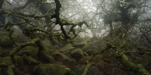 Item #72639390708267126639436568569652760193401123475841185469851730190583073865729 Media