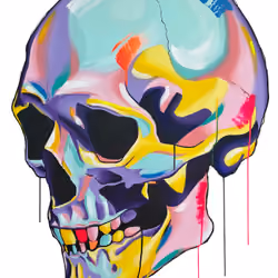 IR Skull
