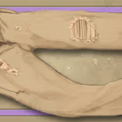 Khaki Pants (Quality 2)