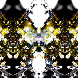 47654747973502141214550921339290912041584942039405288851344459676846779269121