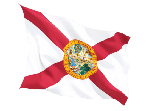 Item #66014886227560344638299723756269507276387272419138927399704737762440499953665 Media