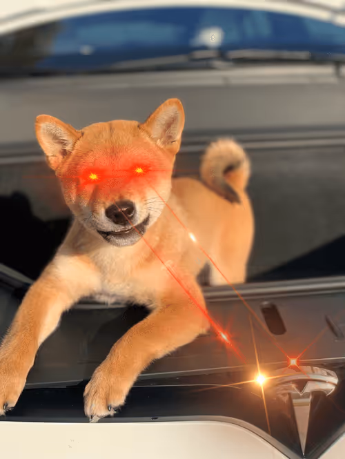 Item #4583203688154496710464576617550160289260541301864270714739251214246985334785 Media