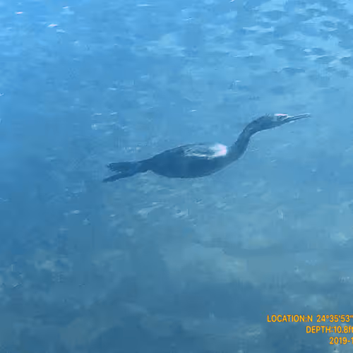 80965803268169370603932631570667161375508893671094224909166964014962249302017