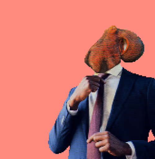 Item #38978282649837283888048530303862168433798246639886405794186851363224314445825 Media