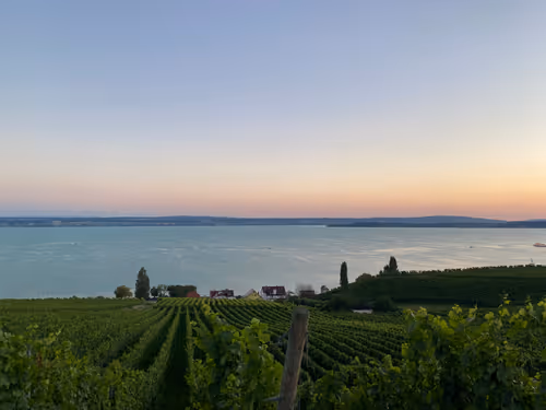 Item #82230664742410380029985225980173930657967222825059187272411913080855938990081 Media