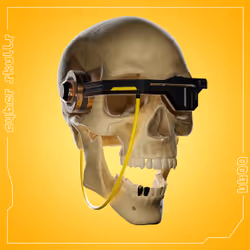Cyber Skullz #0099