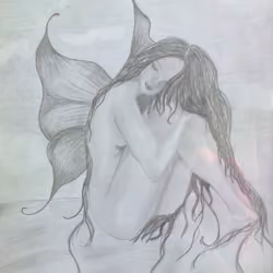 Fairy