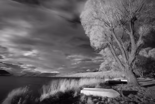 Item #108547290172068983727785202246252609350304201814617164826611776855608595054593 Media