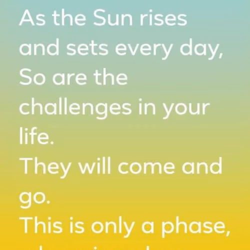 Untitled Collection #4361569062