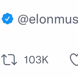 Elon Twett's
