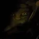 68359552693916636016411556006280574356154757262544095497736013560063446745089