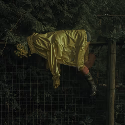 109162157552346088047496633038404394118504199992061596446112929326953733816321