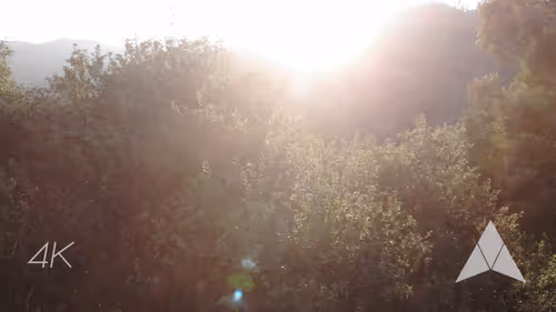 Item #70655409647296023505339344133926088984781406258874857677002406241106986532865 Media