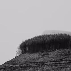 Foggy Horseshoe