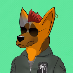 BNDog 635