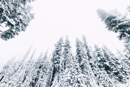 Item #63454844605715267947314910232292346032056647728766809663184741542871856840705 Media