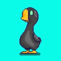 duck #05