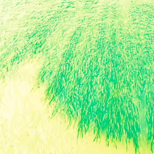 98843954857266856101330559780238873570552098425130206222908041952783612510209