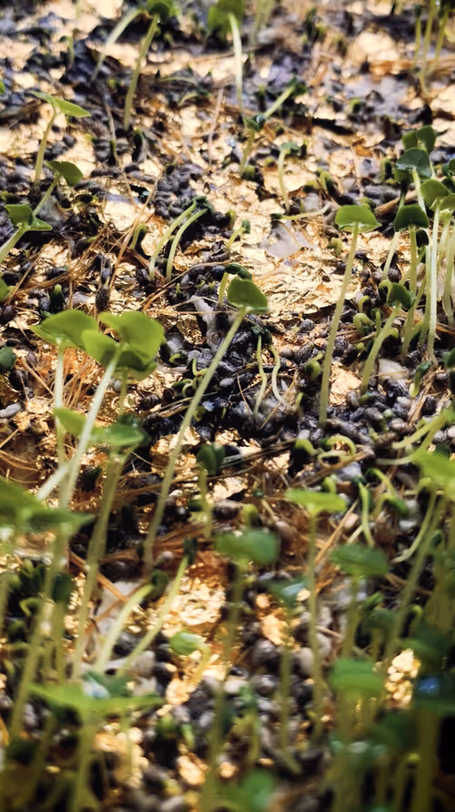 Item #112023108605601249318065536302410732767173682366592262667857165189676986793986 Media