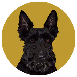 54766349128176429303044182404049584425310907481653304317570413839672867291137