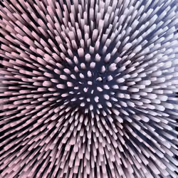 Ode to Kusama: an infinity net