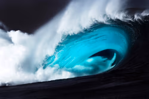 Item #17756409179248326935440545192818629595862766755190928432451948215348280426497 Media