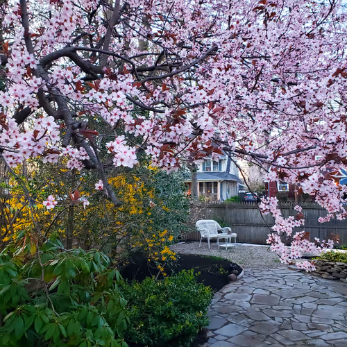 21141452991235844829580702888383374661578493181426809787587219093044980613121