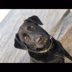 the wet boy 