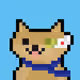 111598656821337276191636497877280569365598901253137801137061319196595638501377