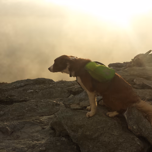 Sunset on Mt. Mansfield 
