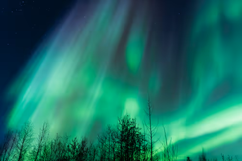 Item #21114313984647103593433237595897787432123742912884964135570648070095653306369 Media