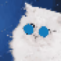 CryptoCat