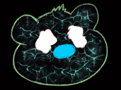 Item #63808819590757093786686161908621588337946746511286841412064059540311361191937 Media