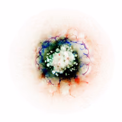 #331 Inverted