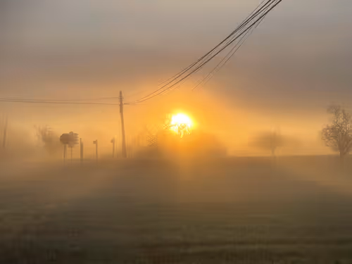 Item #93844881020271356057117699145384942250622240332349505443041285739965421977601 Media