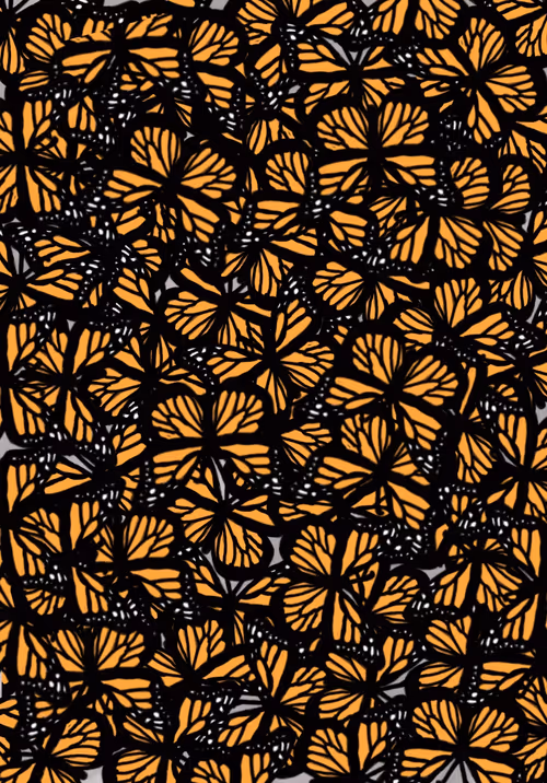 Item #77835593230113227005182221381121522763424161289674484733172761480391330627585 Media