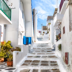 White alleys