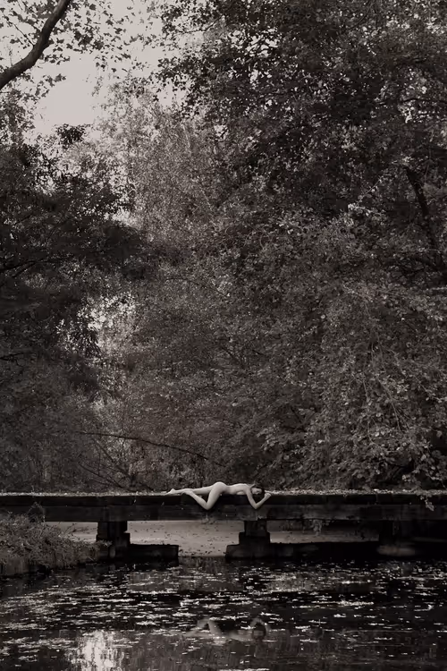 Item #50747893746858818908367272337073903739912207369127684864998521128330270343169 Media