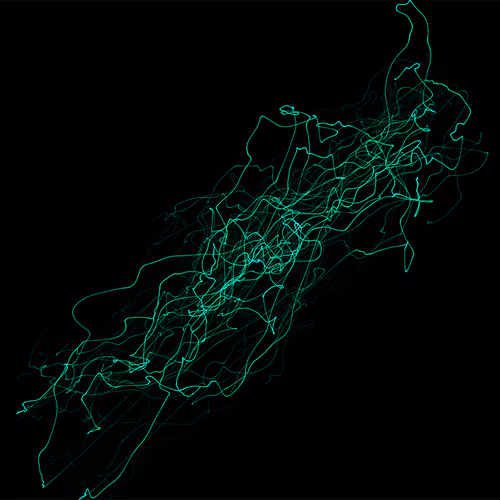 Item #58022428340145391453542665934531688432280773341889981171776041977618899140609 Media