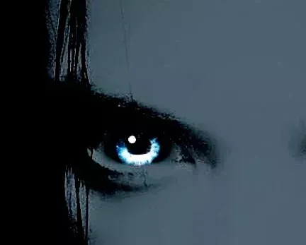 whimsicist Collection