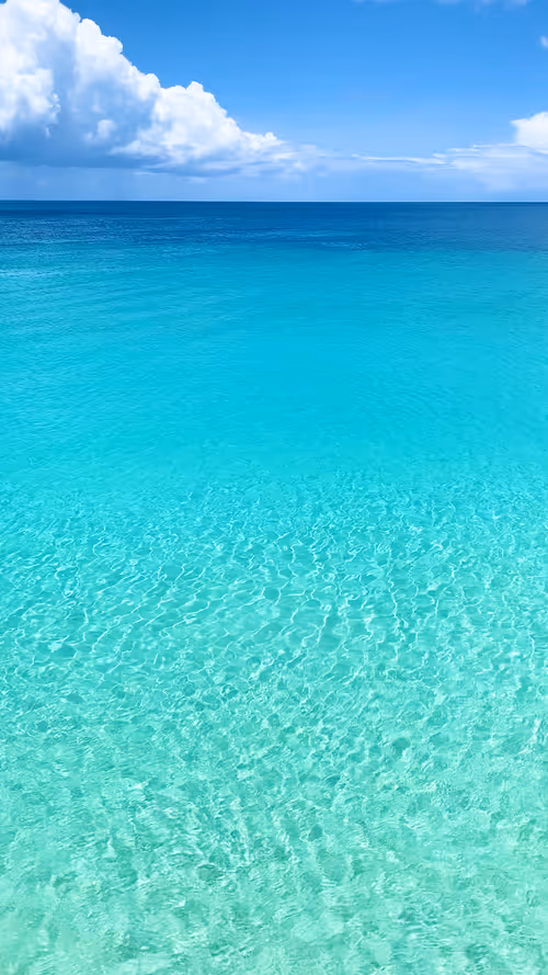 Item #21182267617506779564808976135633405362174435618791925445705395871602245107715 Media