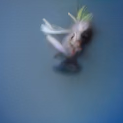 The Non-Human Artwork Project #344