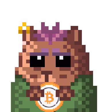 Cryptohamsters punk #1.1.2.212 Wrapped Bitcoin special edition #LE