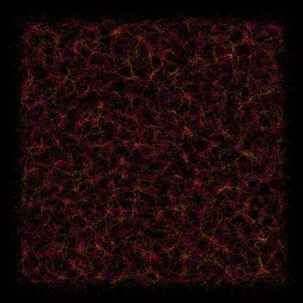 Physarum #221