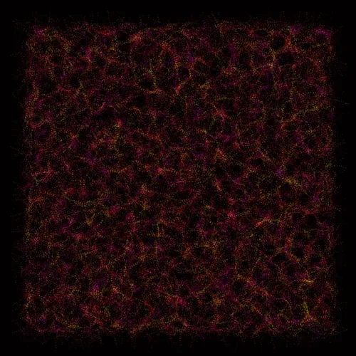 Physarum #221