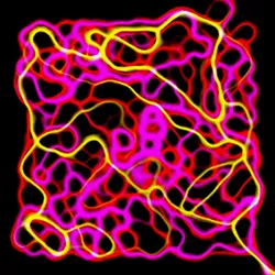 51929734946411346289540790635765095060363125039145709683616697277203984941057