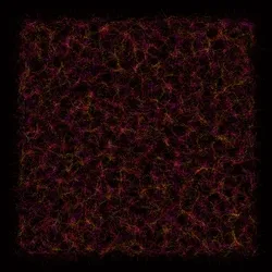 Physarum #221