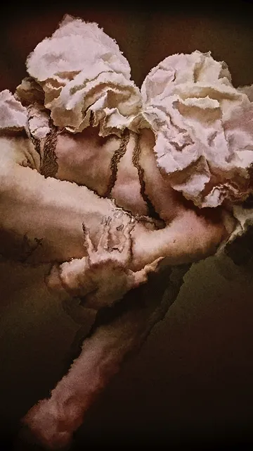 Item #35882245745798686917185348617726027847645759382559279171572756831716633477121 Media