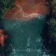 25497950084472149158223983765812872381099777475617920321755067777851016085514